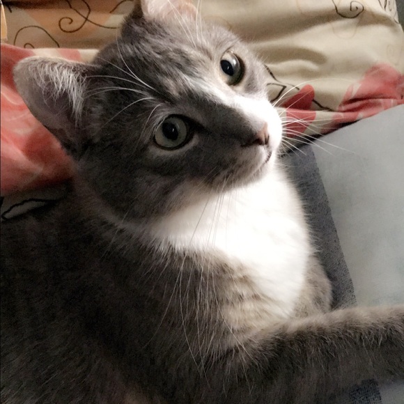 Meet your Posher, Samiha - Picture 1 of 1